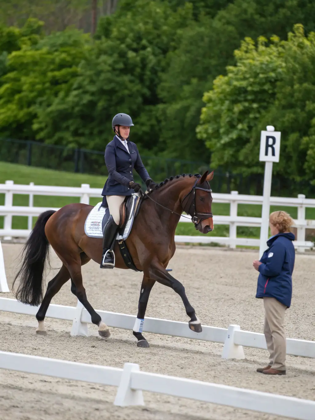 An image of experienced riders demonstrating advanced dressage techniques during a training session, highlighting the skill and precision involved.
